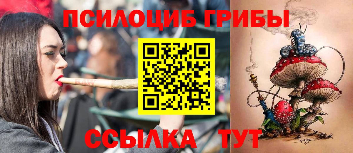 Псилоцибиновые грибы мицелий  Вход с VPN  Псилоцибиновые грибы Psilocybine cubensis  Кудрово 