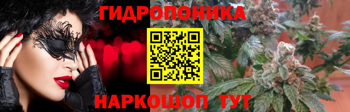 Кудрово  Каннабис индика  Шишки марихуана Ganja  Вход с VPN  Шишки марихуана THC 21% 
